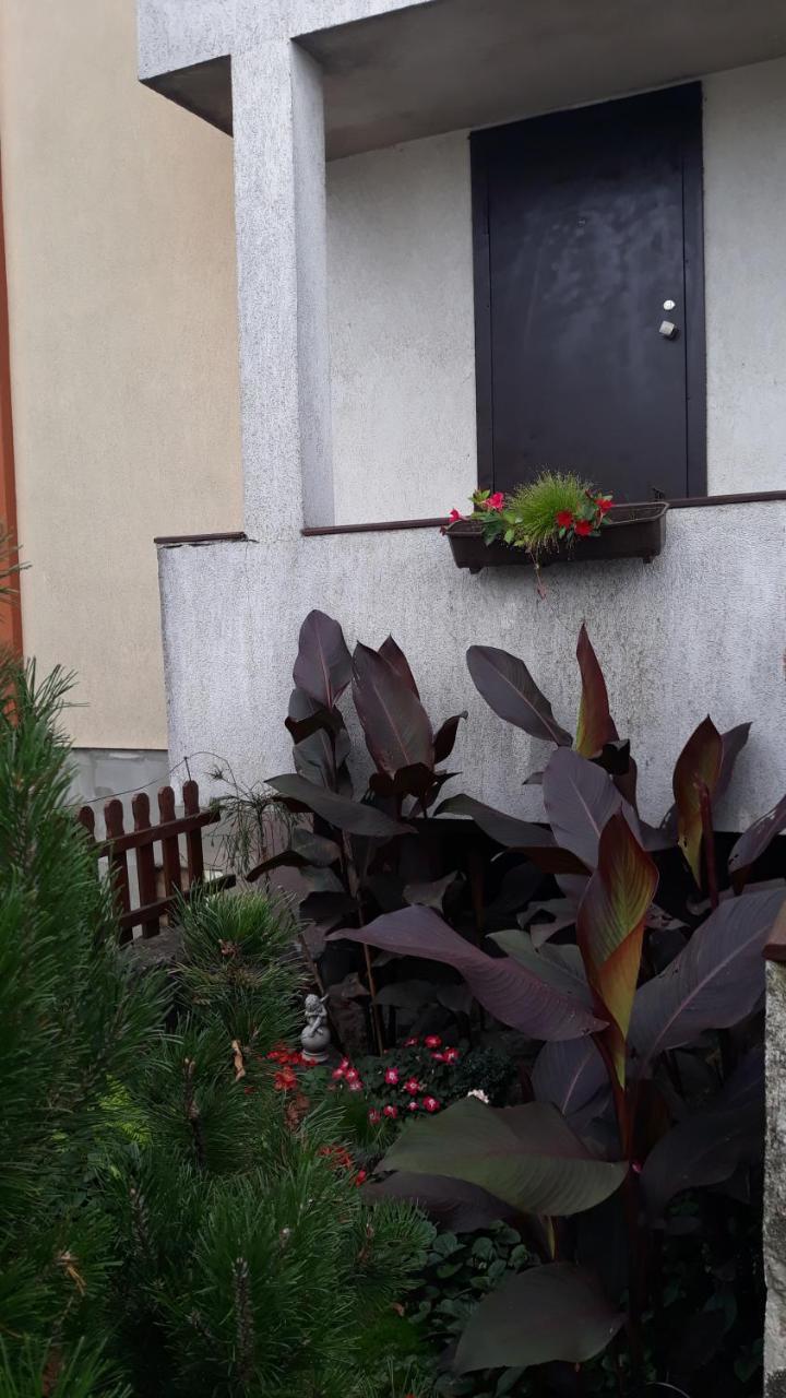 Sauliaus Apartamentai Panevezys Exterior foto
